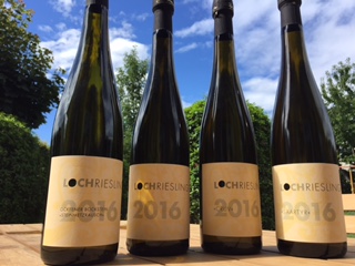 Weinhof Herrenberg Schoden LochRiesling