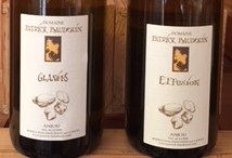 Patrick Baudouin Chenin blanc