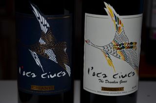 loca ciuca - die betrunkene Gans - the drunken goose